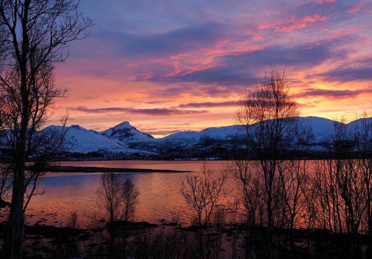 Hakoya Lodge Tromsø Esterno foto