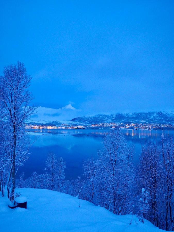 Hakoya Lodge Tromsø Esterno foto