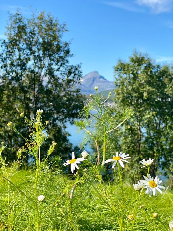 Hakoya Lodge Tromsø Esterno foto