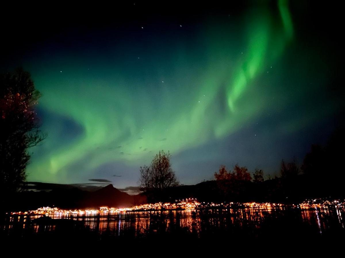 Hakoya Lodge Tromsø Esterno foto