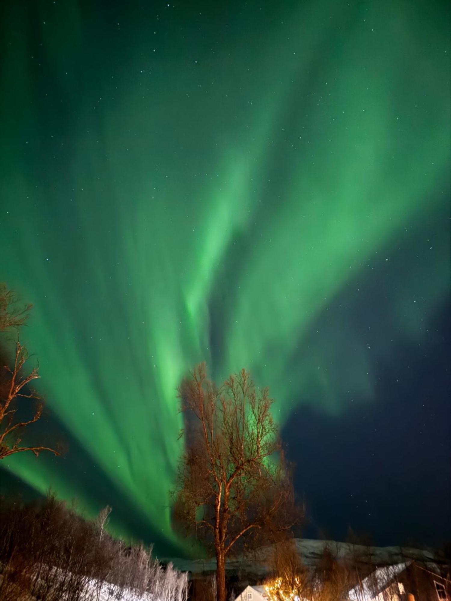Hakoya Lodge Tromsø Esterno foto